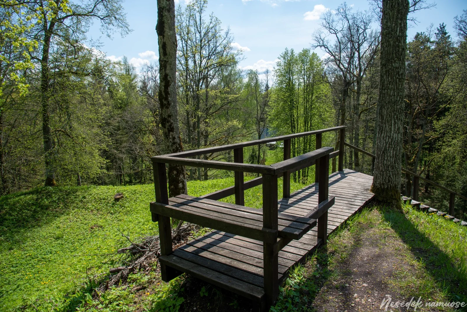 Skrebis Forest Nature Trail (photo from the “Nesėdėk namuose” website)
