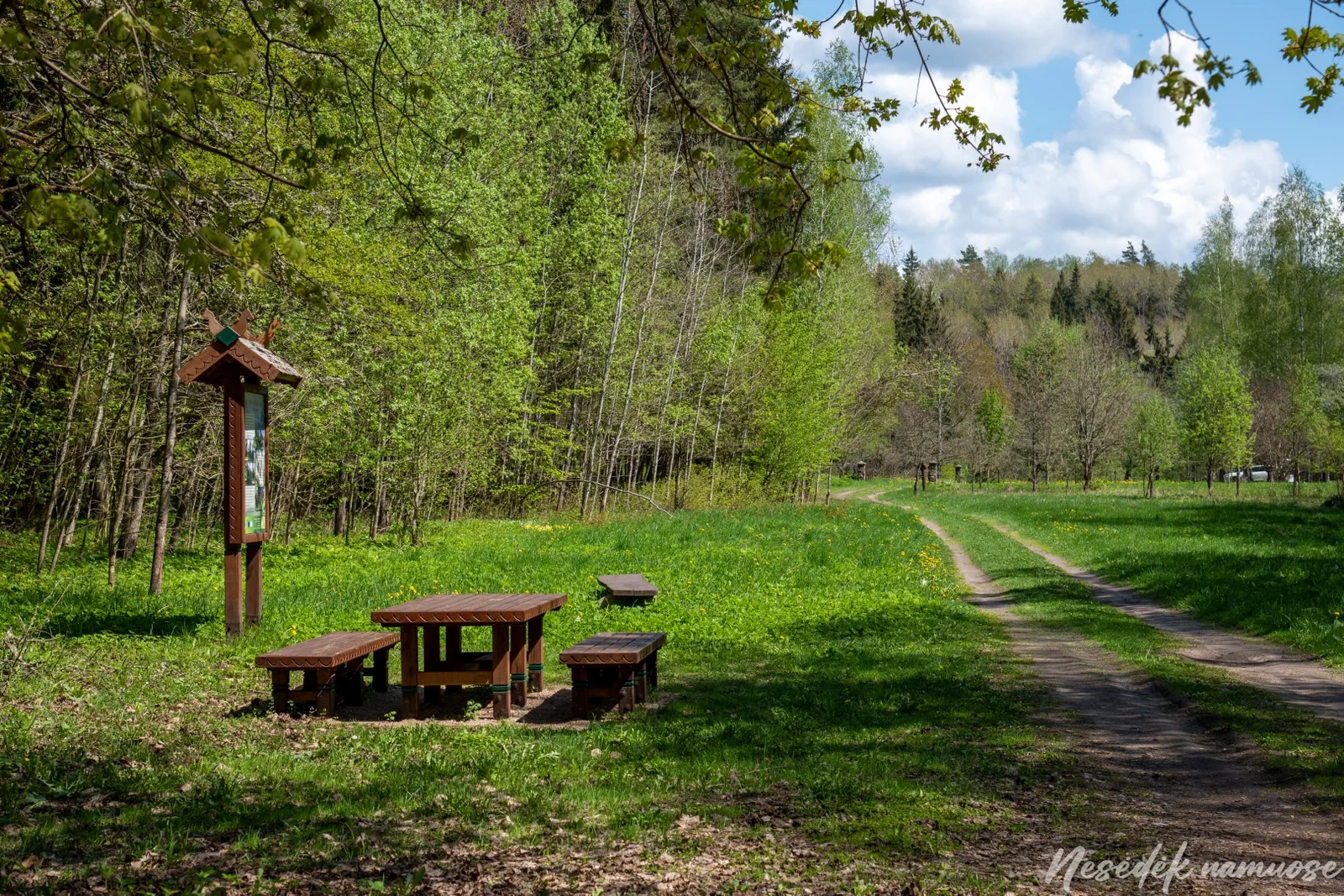 Skrebis Forest Nature Trail (photo from the “Nesėdėk namuose” website)