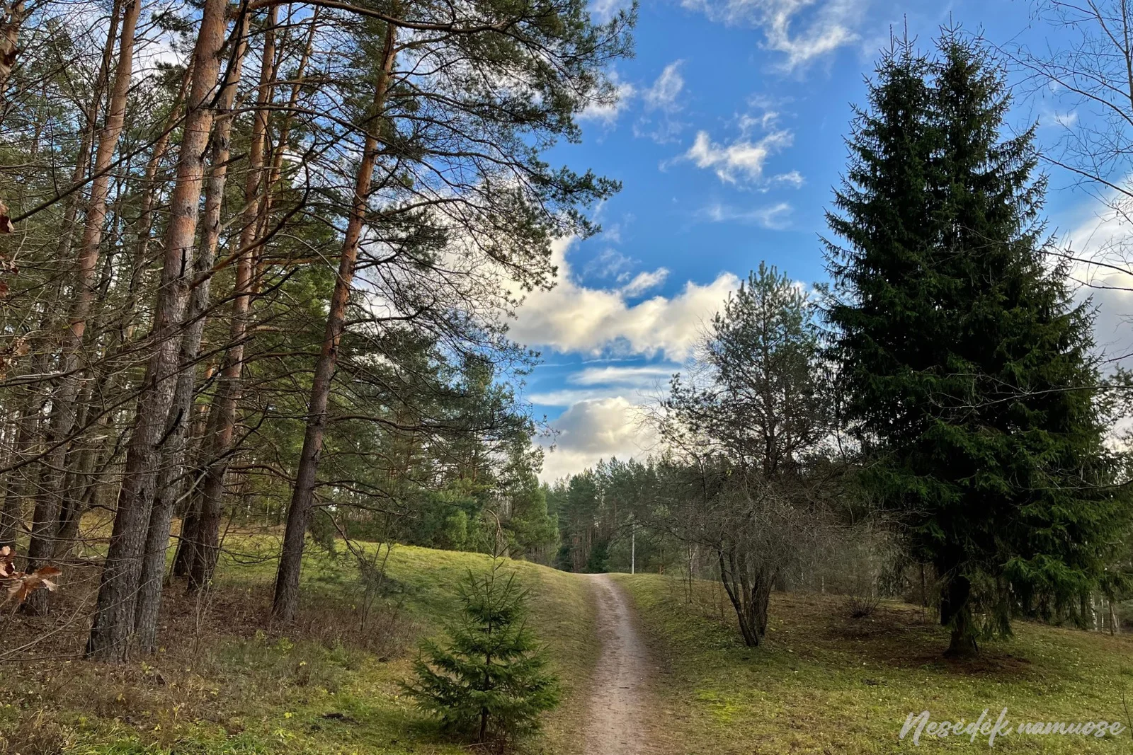 Verkiai Loop Trail (photo from the “Nesėdėk namuose” website)