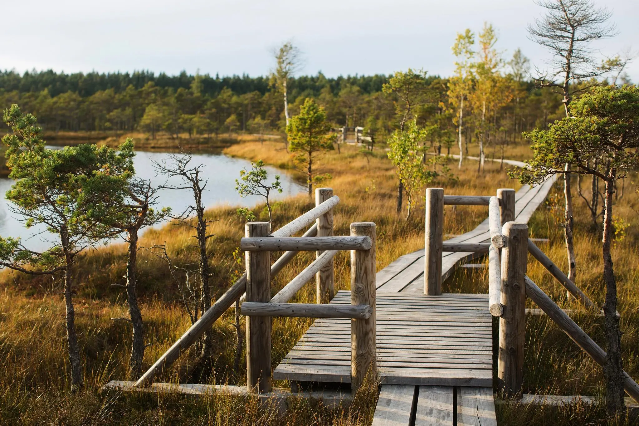 Ķemeri national park (photo: Latvia Travel)