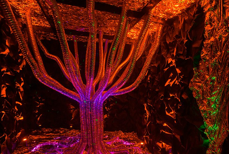 Fantasy land "Neonija" (photo: official website)