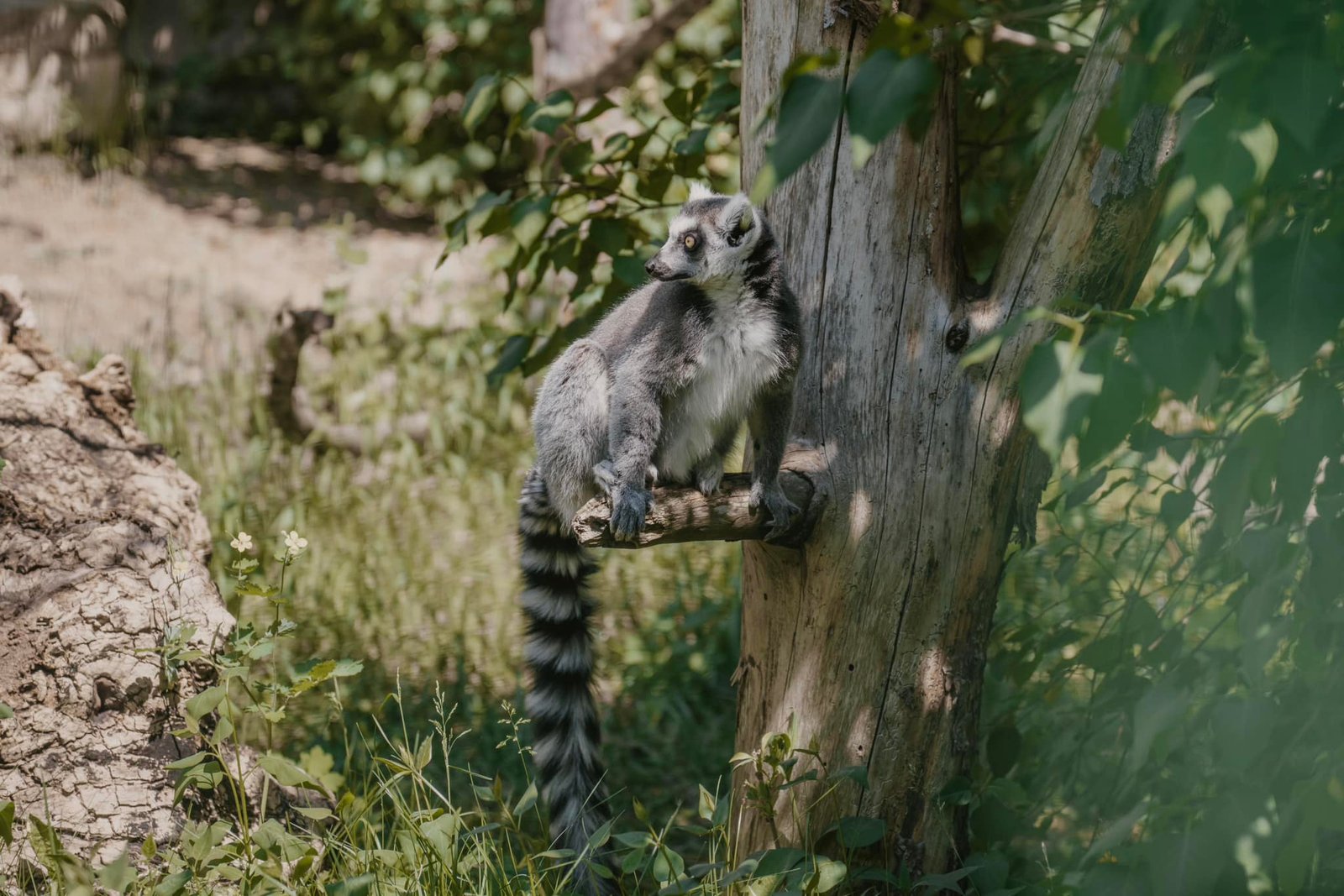 Riga zoo (photo: Riga zoo)