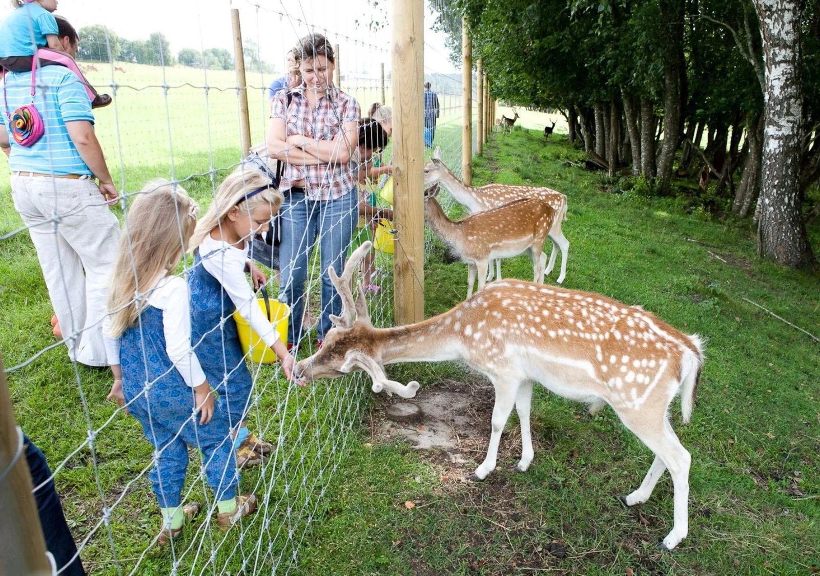Safari park "More" (photo: Latvia Travel)