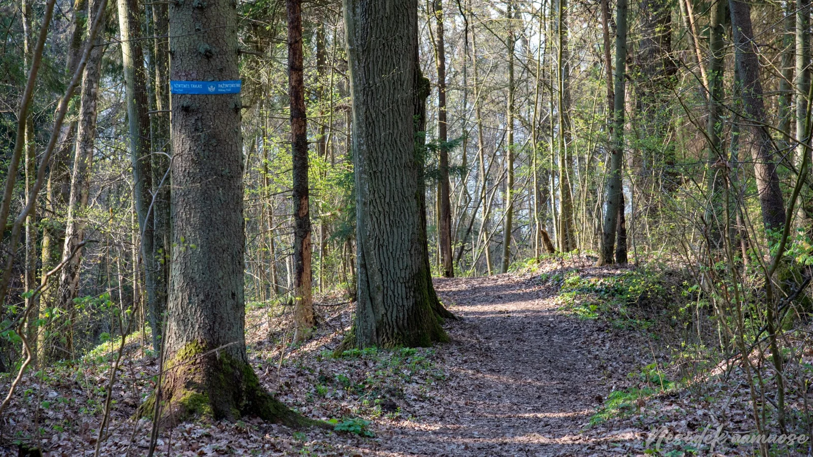 Kapitoniškės Nature Trail (photo from the “Nesėdėk namuose” website)