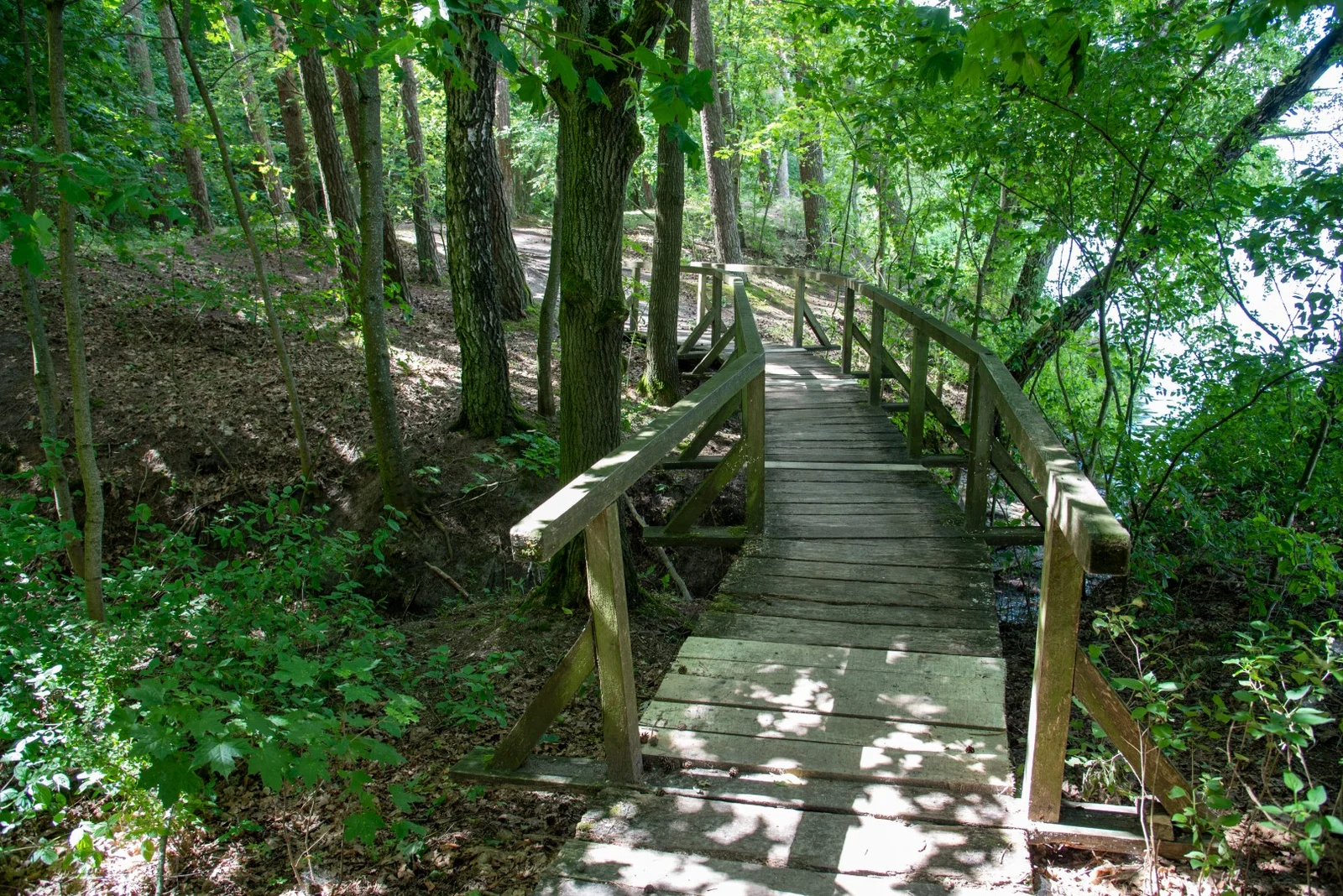 Laumėnai Nature Trail (photo from the “Nesėdėk namuose” website)