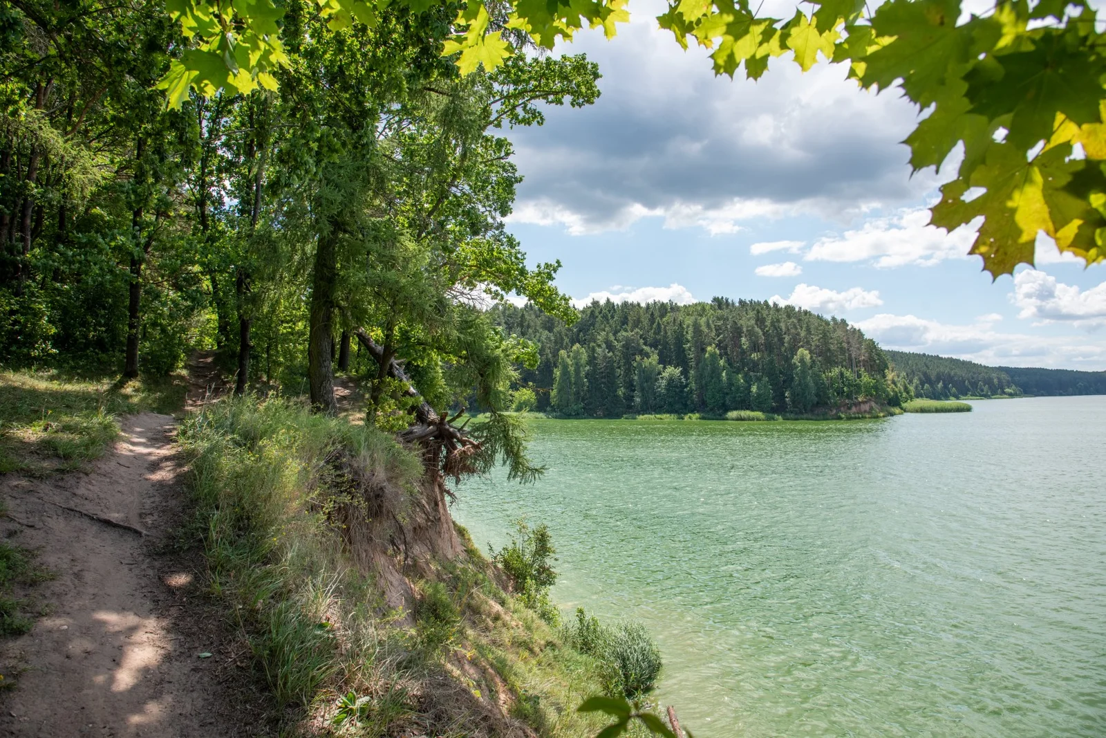 Laumėnai Nature Trail (photo from the “Nesėdėk namuose” website)