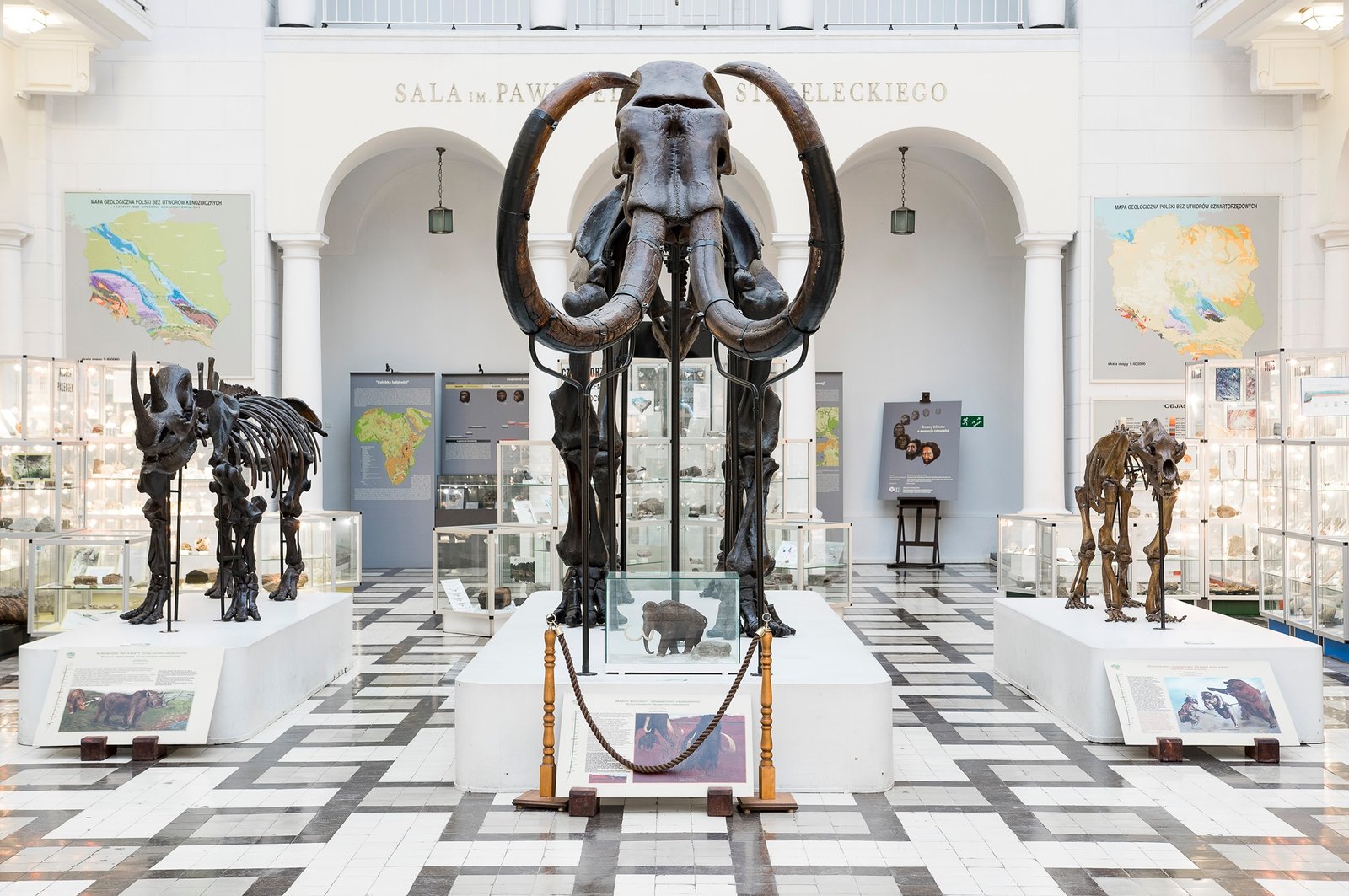 Geological Museum in Warsaw