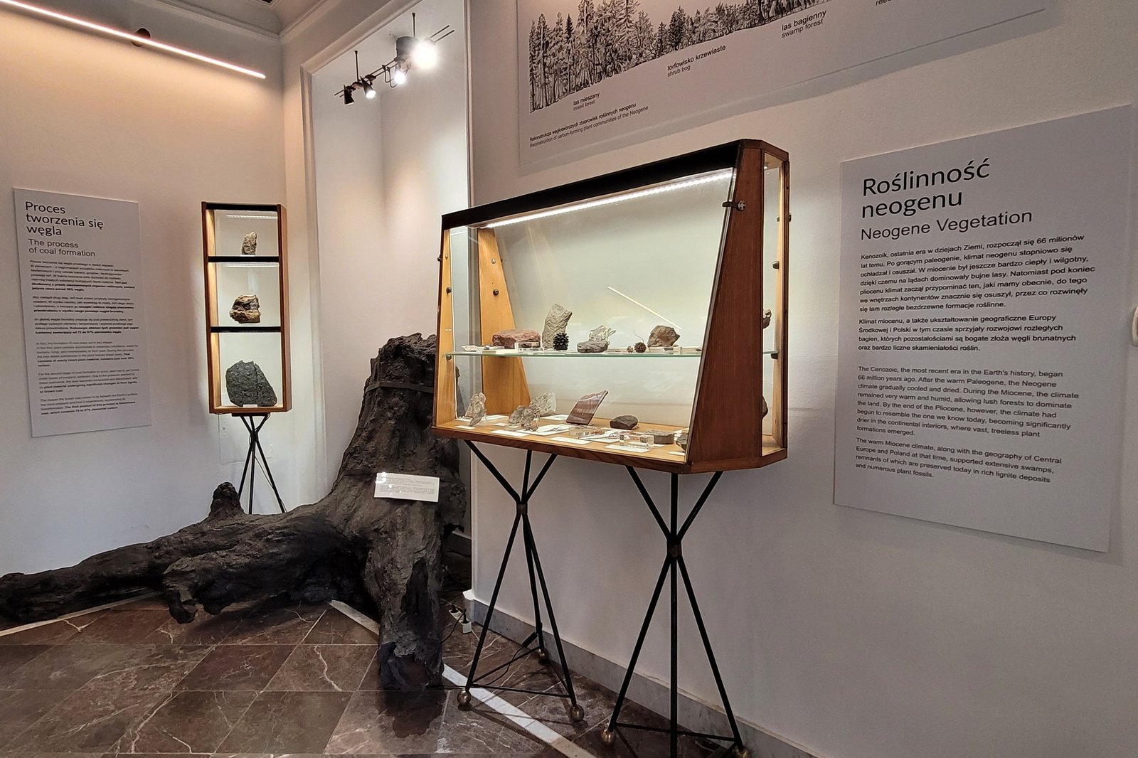 Museum of the Earth in Warsaw