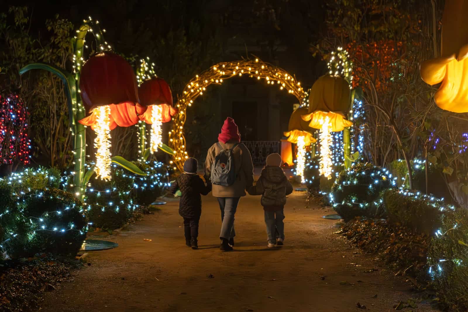 Light installations in the botanical garden in central Warsaw