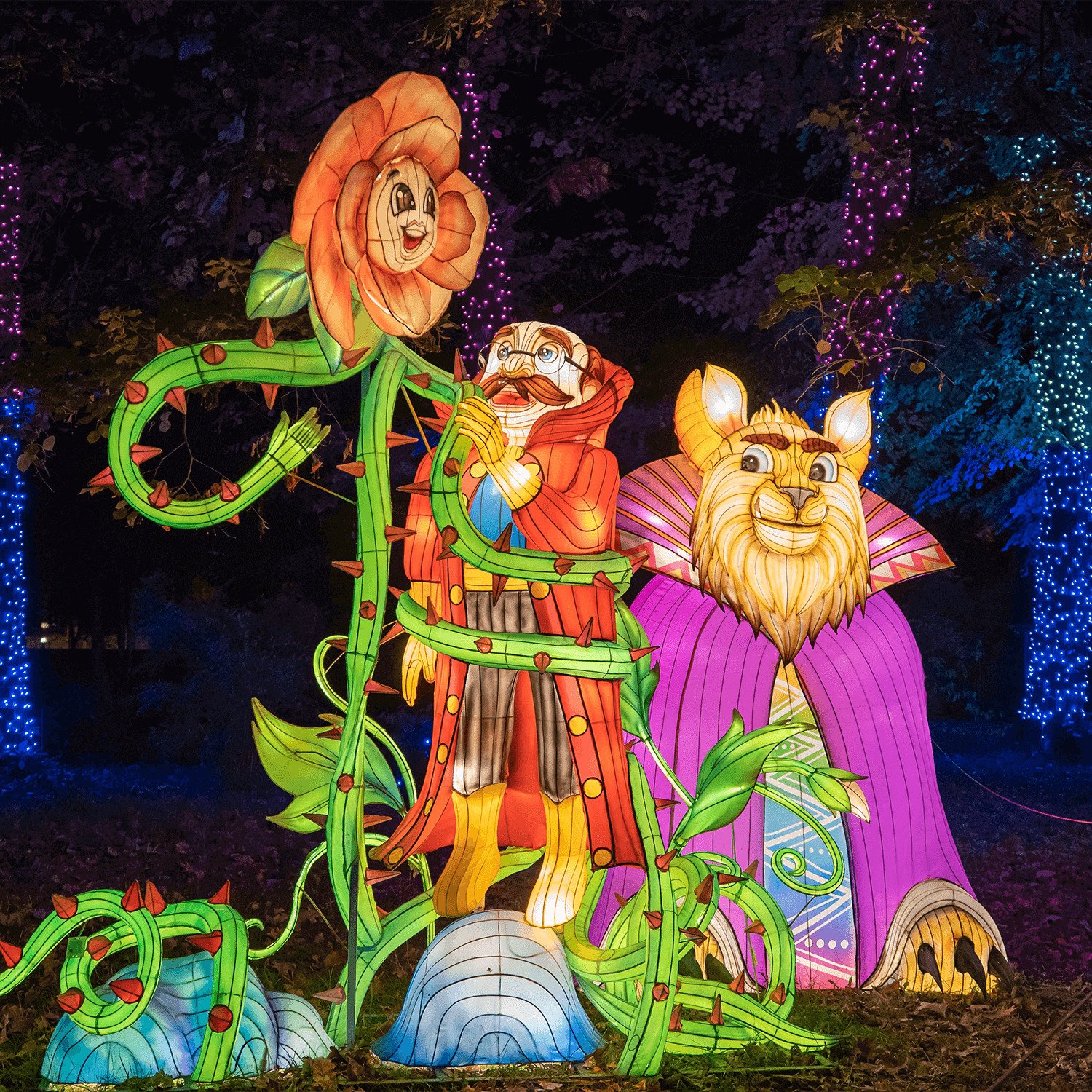 “Garden of Lights” Beauty and the Beast - in the Powsin Botanical Garden