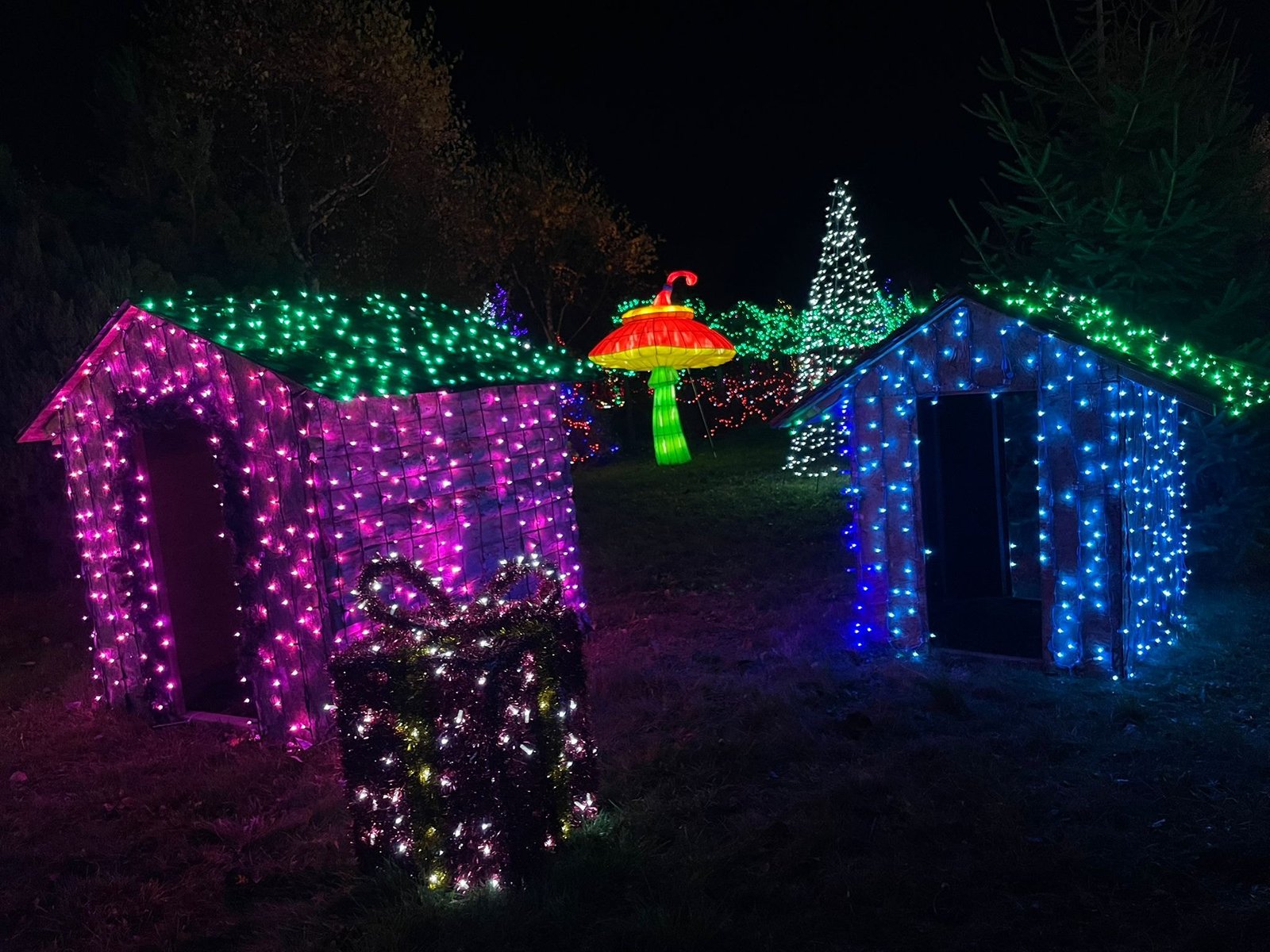 Christmas light installations in Deli Park