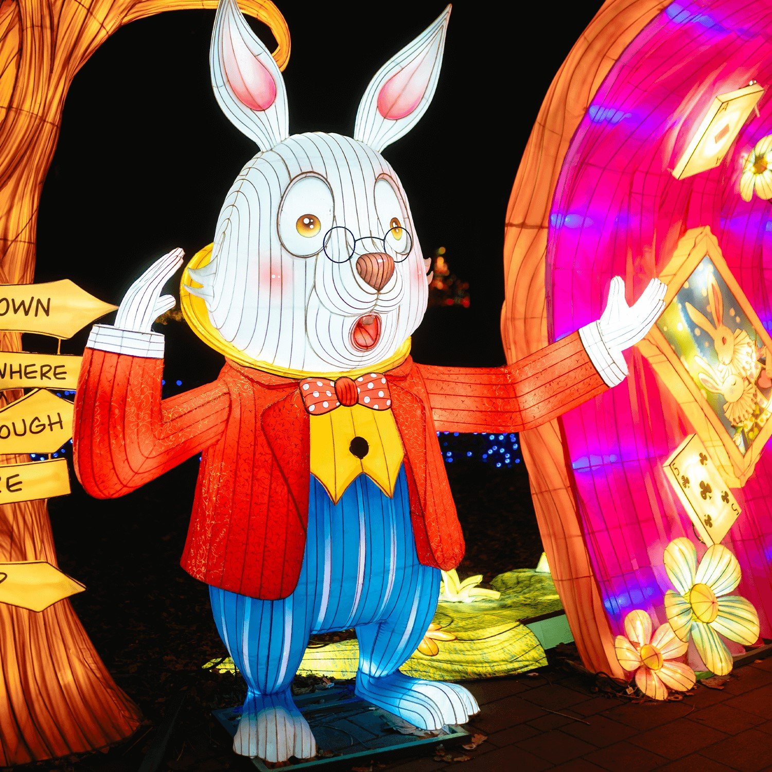 “Garden of Lights” Alice in Wonderland - in the Mikołów Botanical Garden