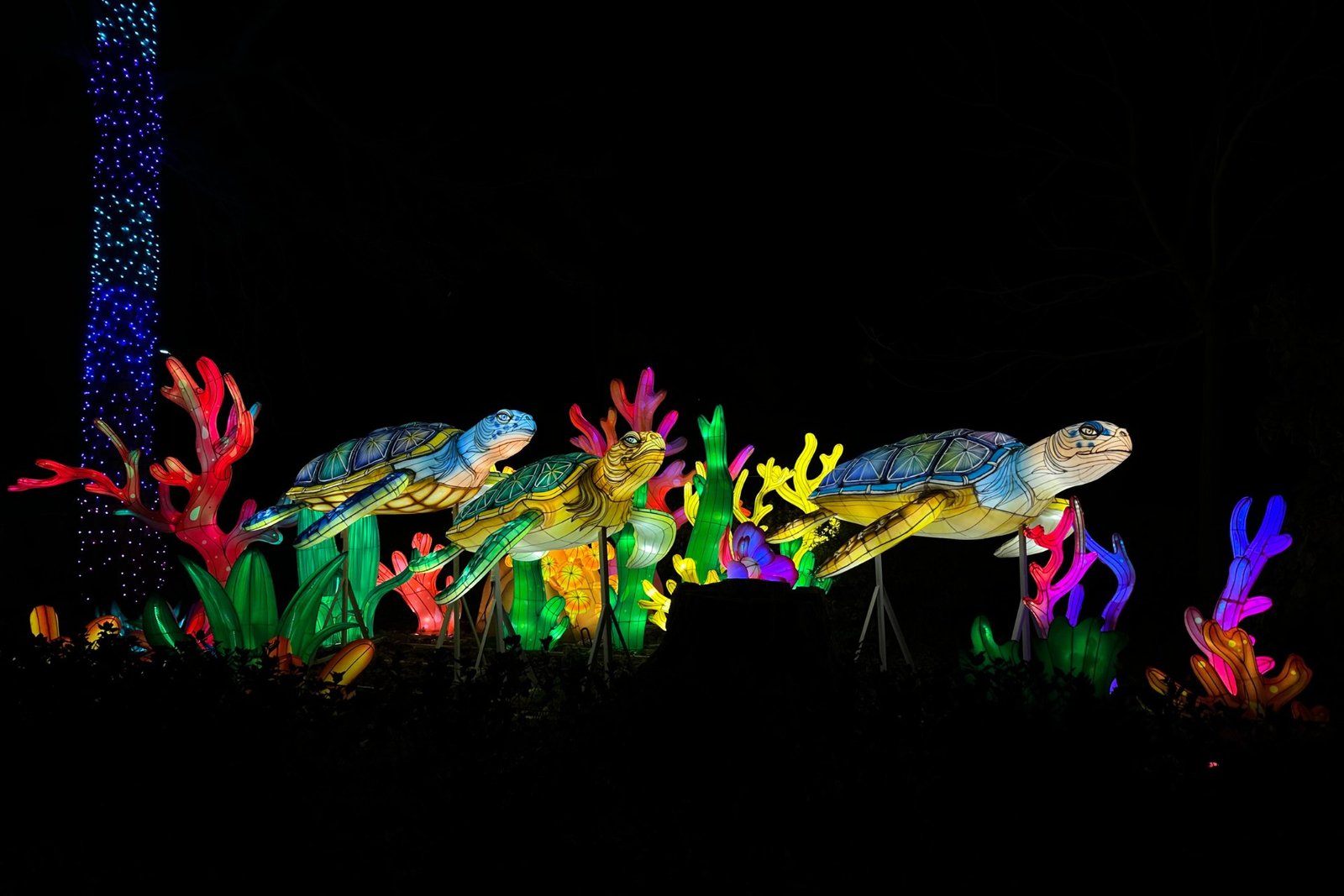 “Garden of Lights” Wild America - at Wrocław Zoo