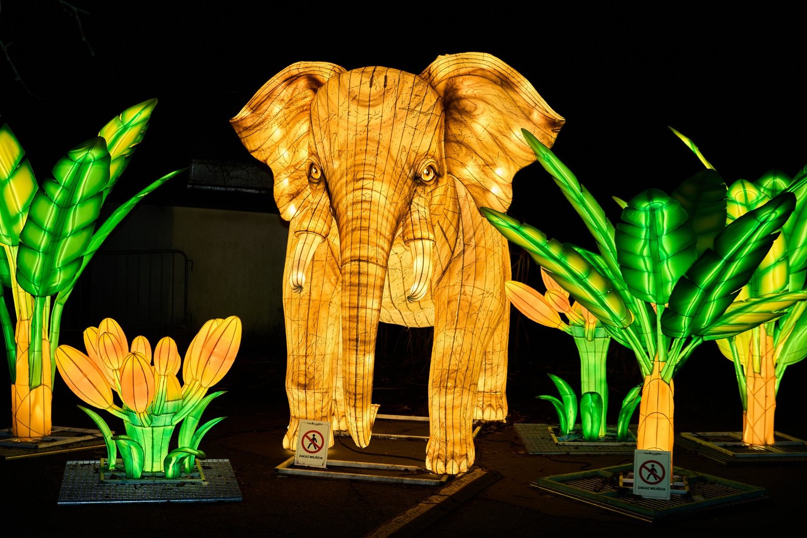 “Garden of Lights” Wild America - at Wrocław Zoo