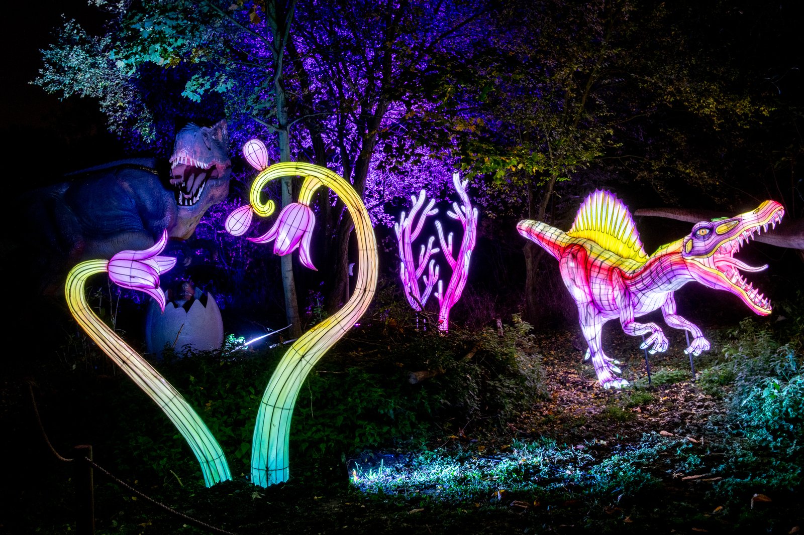 “Lumina Park” in Bydgoszcz