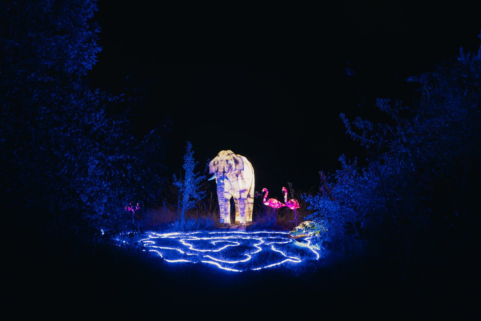 “Lumina Park” in Bydgoszcz