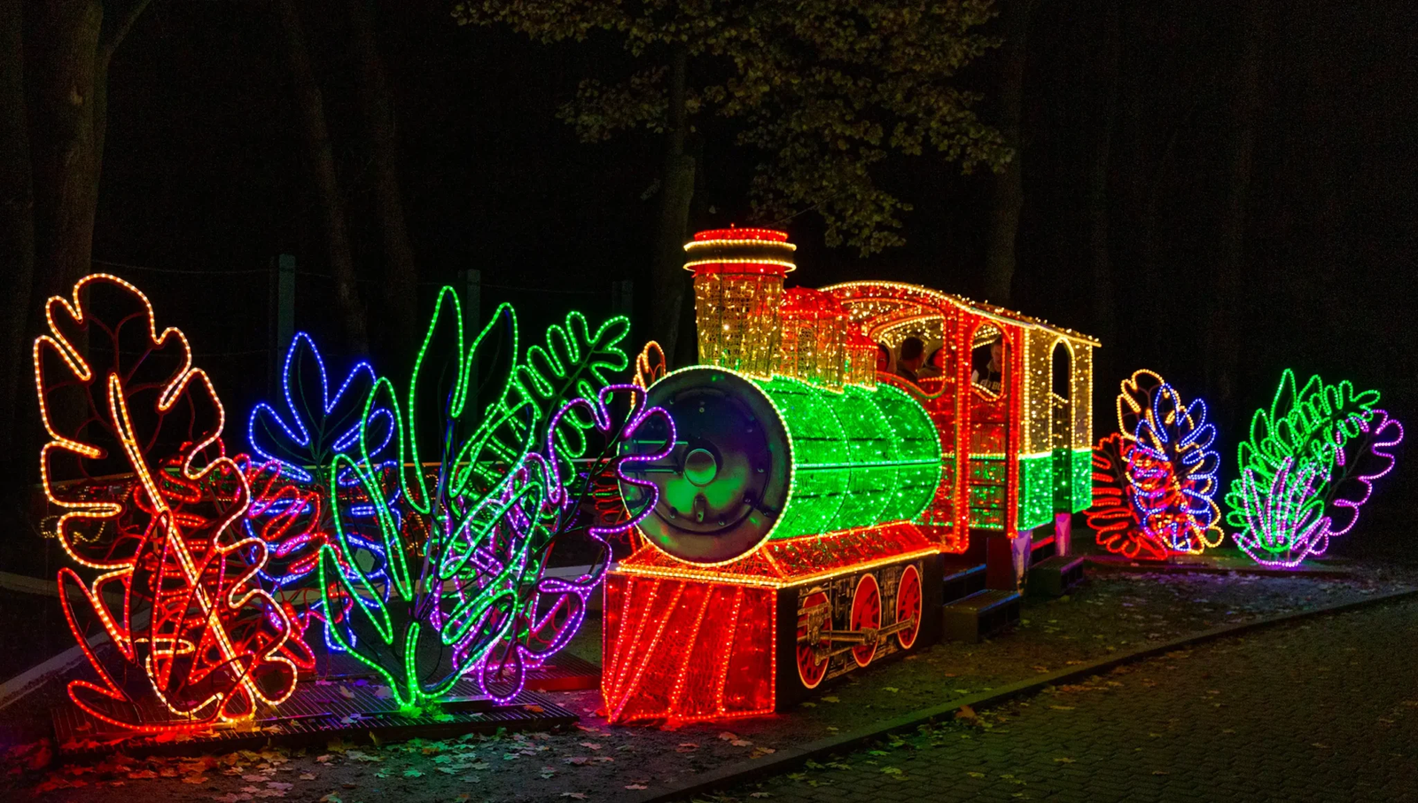 Park of a million lights at Łódź Zoo