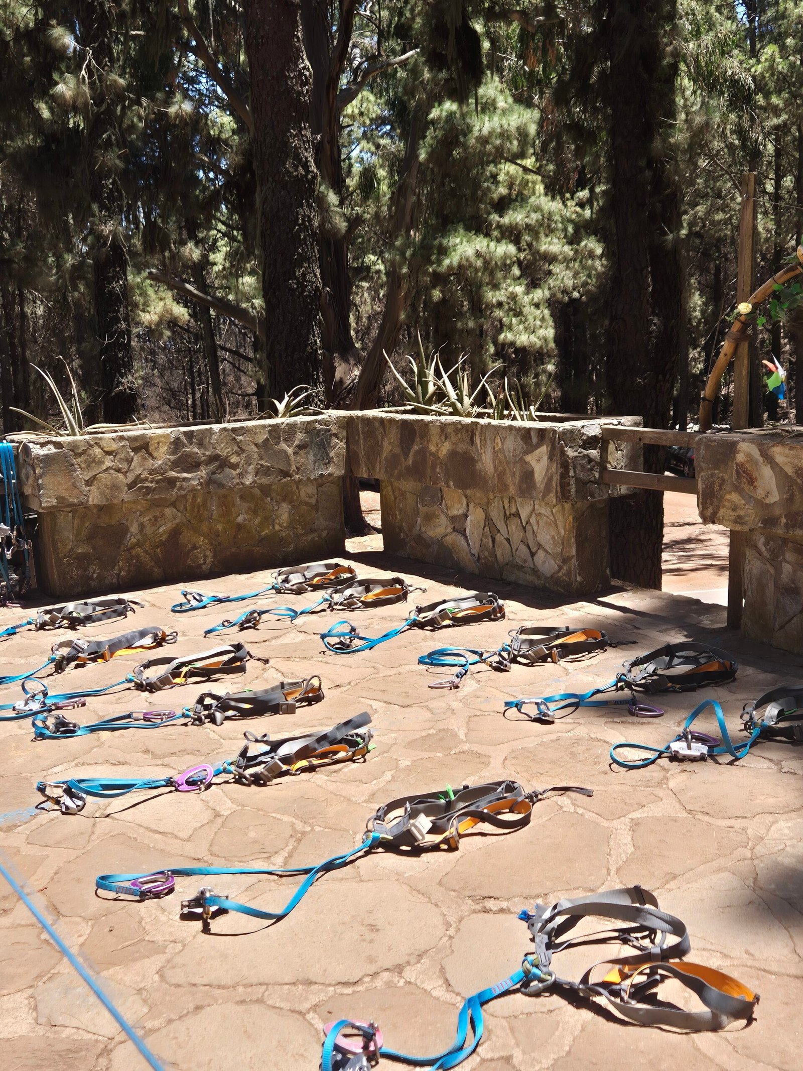 Forestal Park in Tenerife