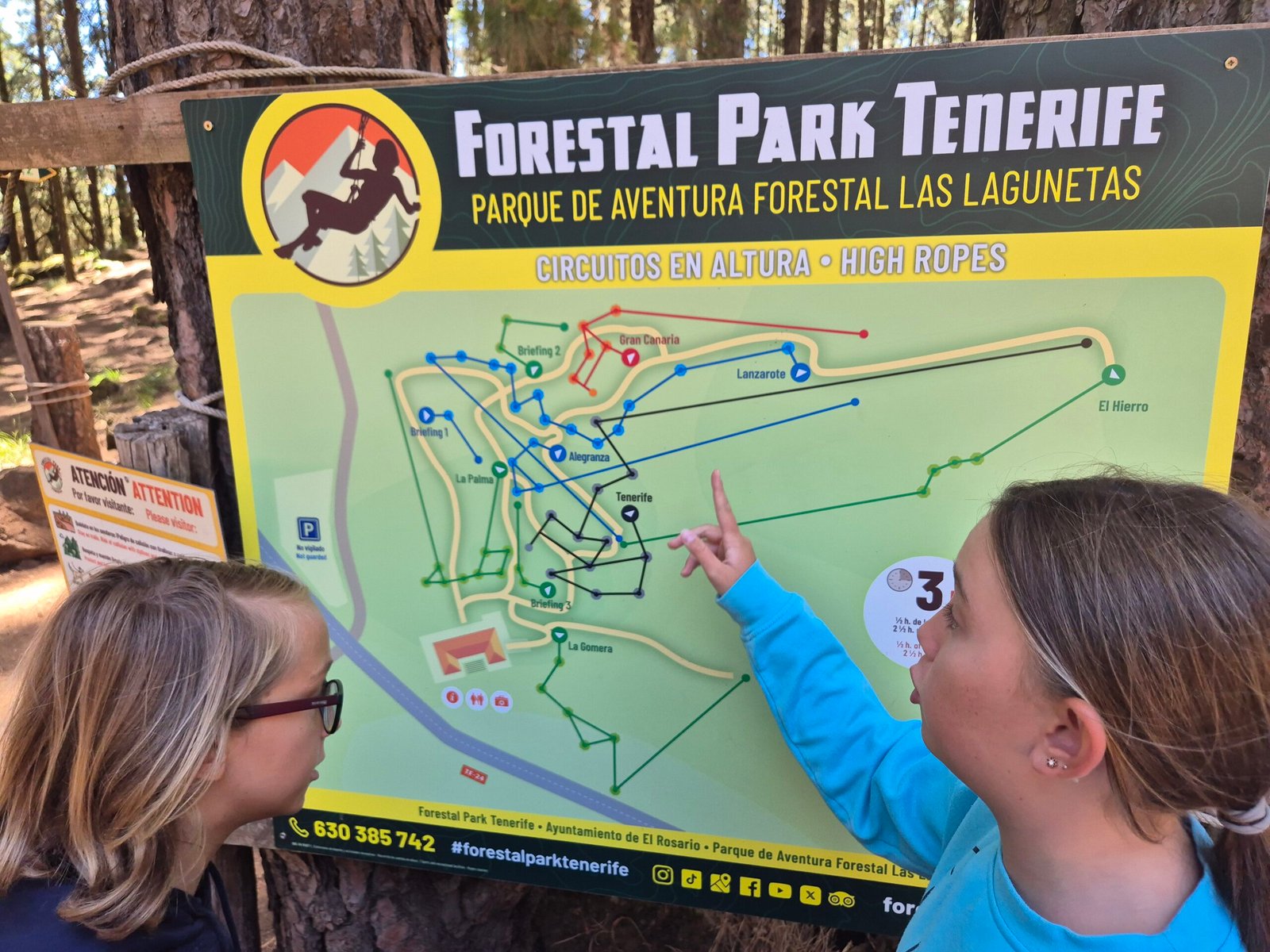 Forestal Park in Tenerife – extreme entertainment in nature