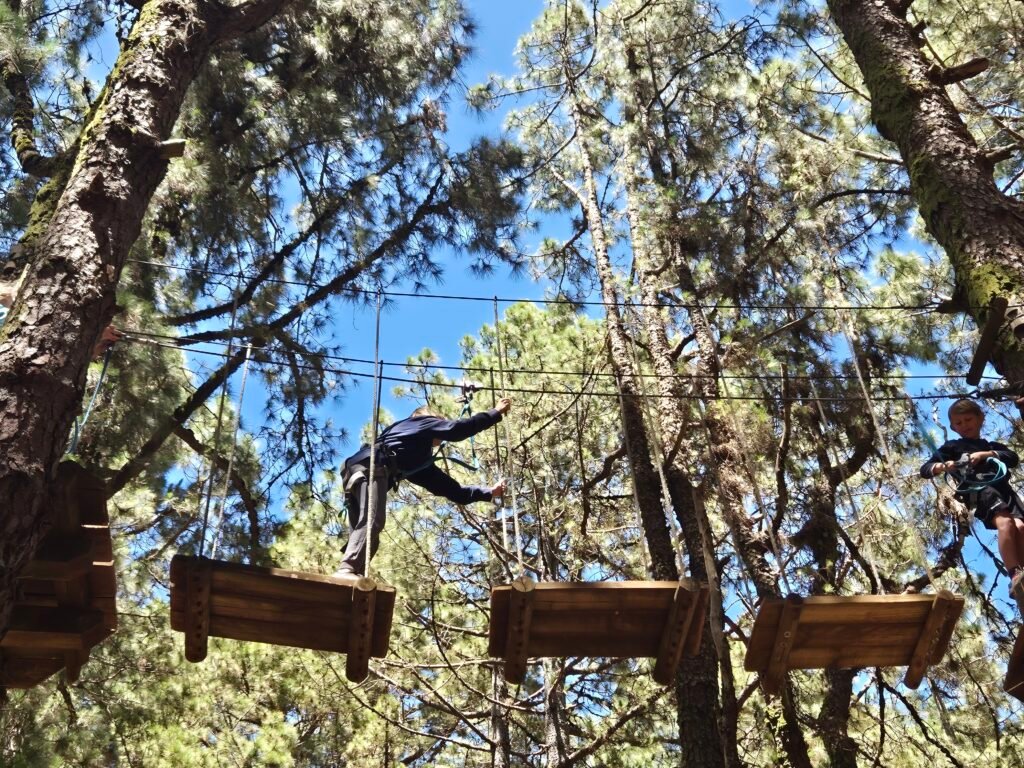 Forestal Park in Tenerife