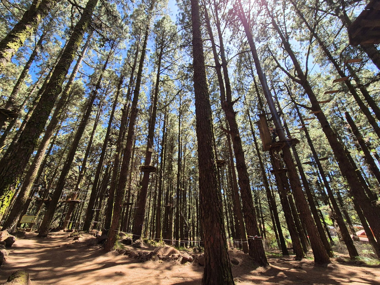 Forestal Park with kids