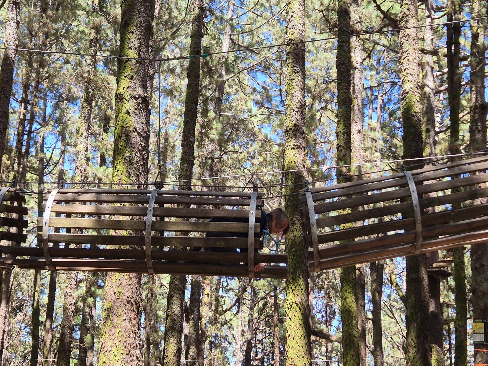 Forestal Park with kids