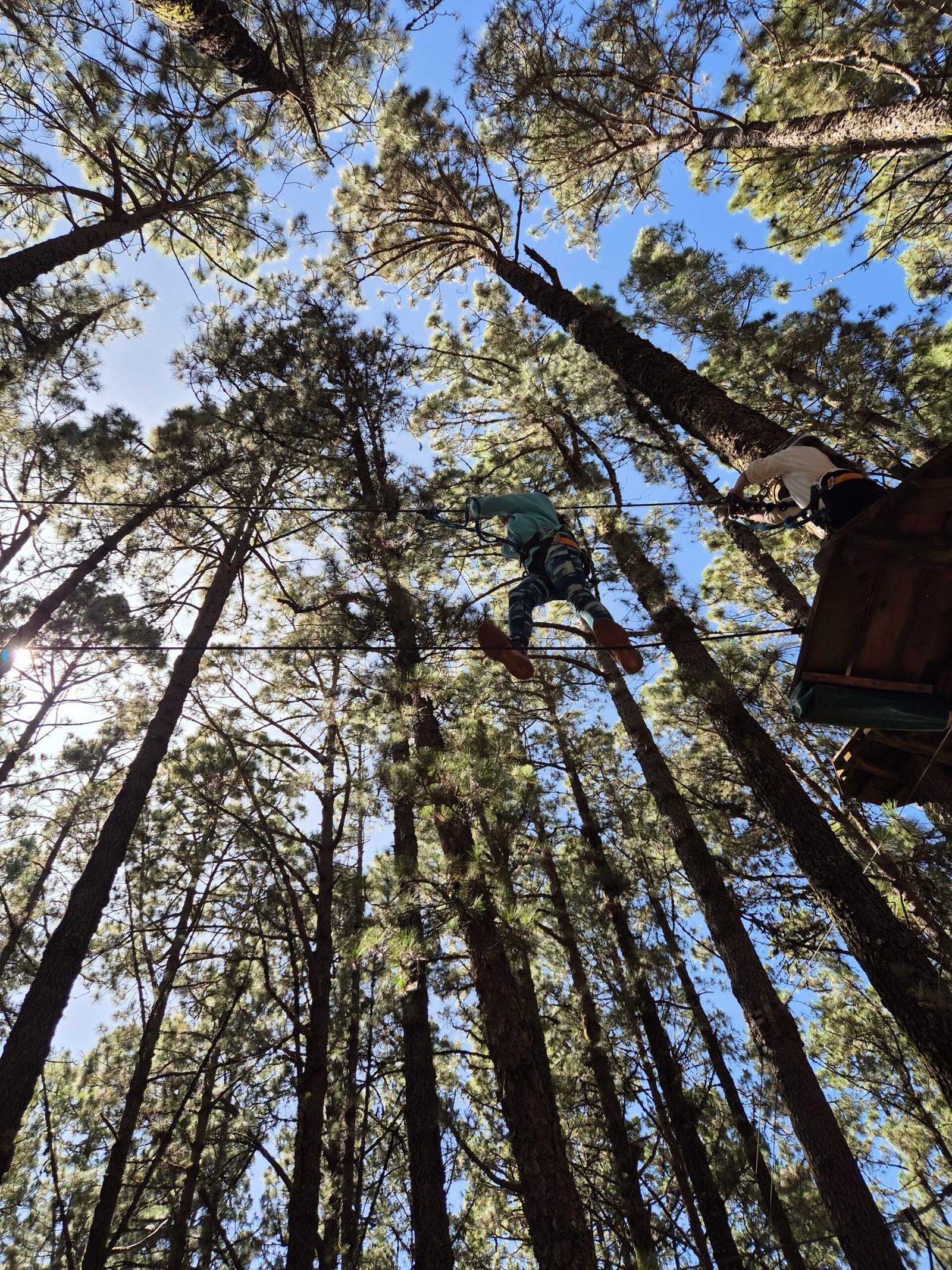 Forestal Park in Tenerife