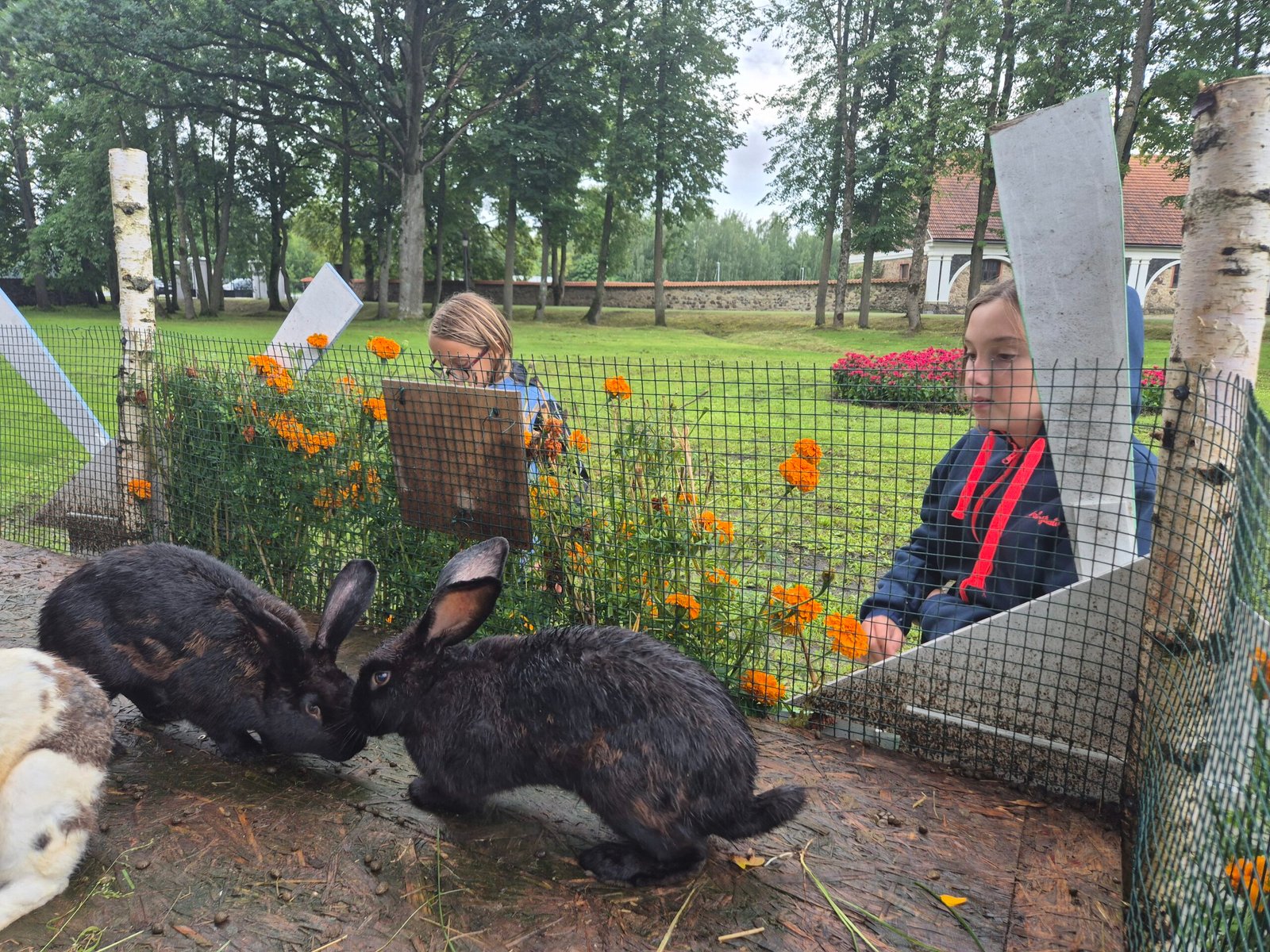 Animals at Pakruojis Manor