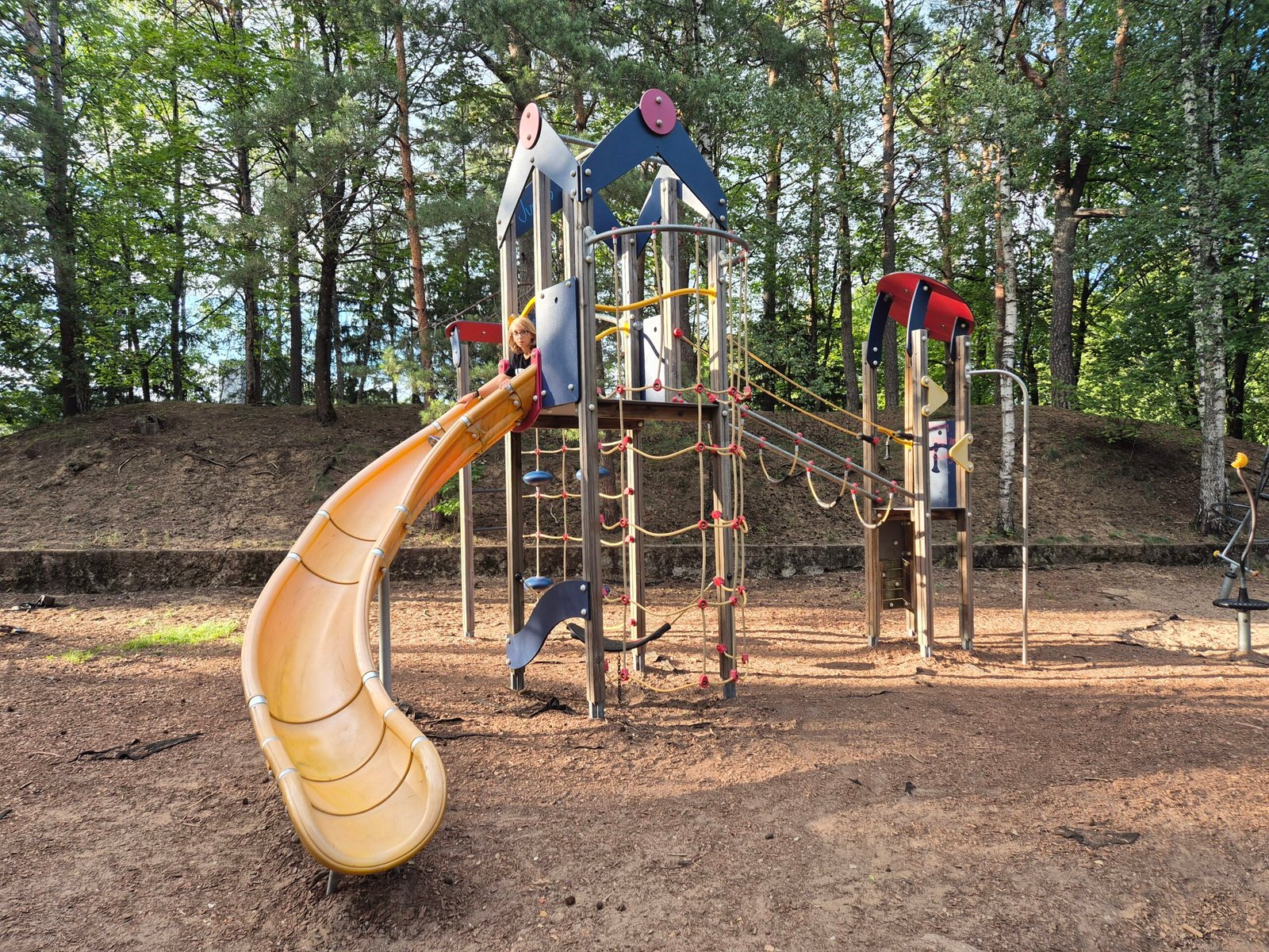 Karolis Dineika Park