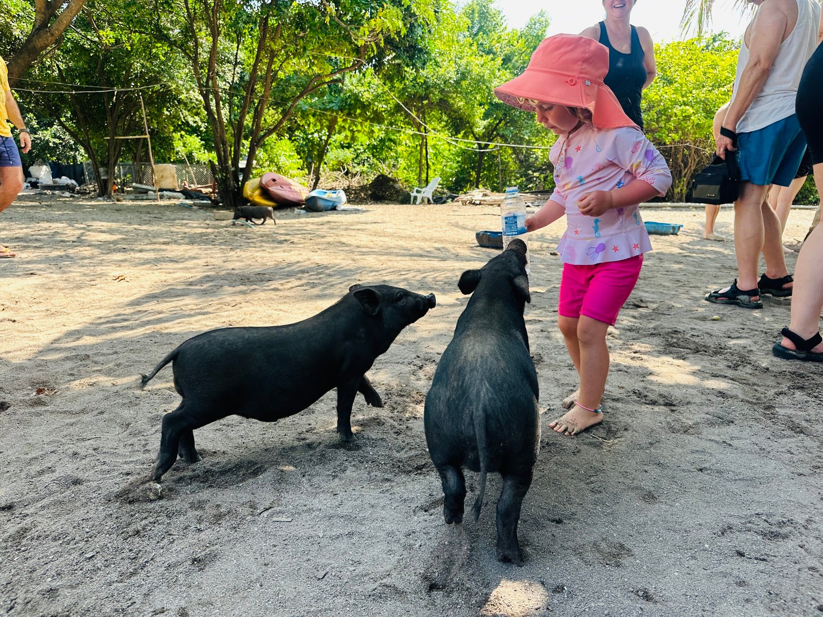 What to see in Thailand with children