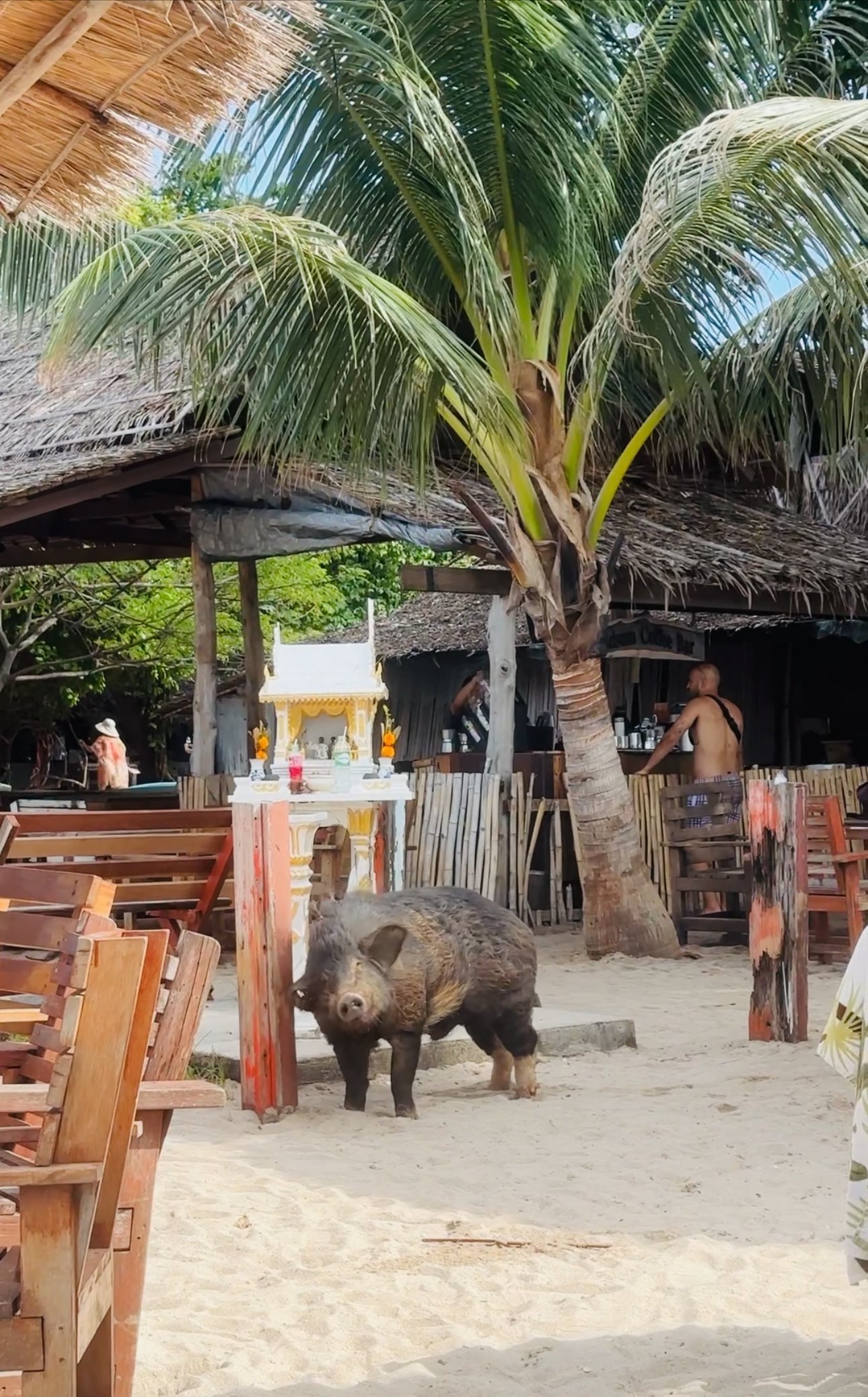 Thailand with children