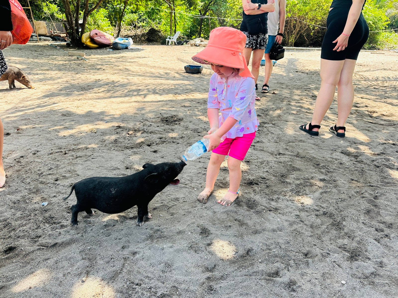 What to see in Thailand with children