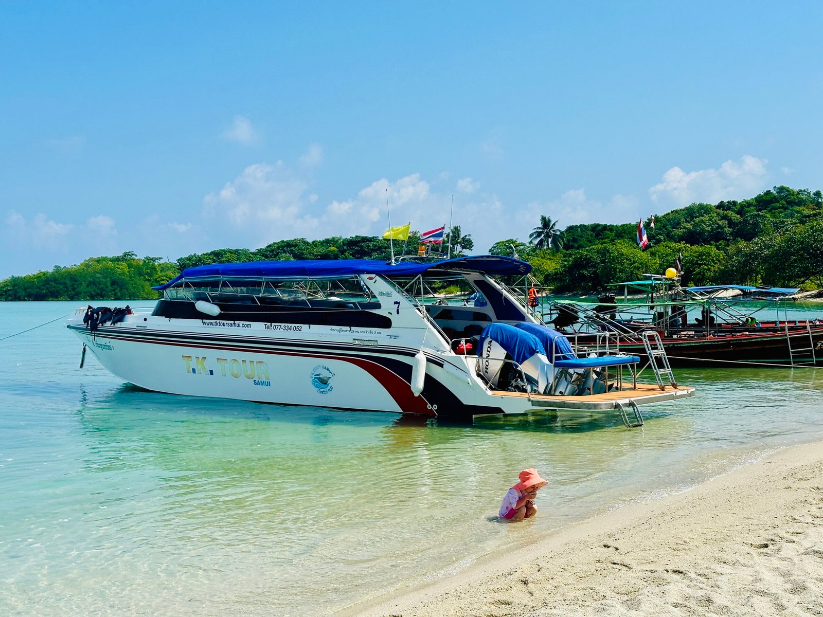 Koh Mad Sum pig island in Thailand