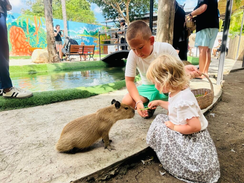 Capybara phenomenon