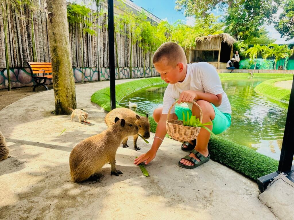 Capybara phenomenon