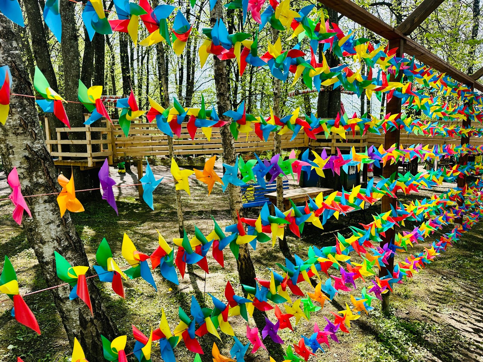 Where to go with children in summer