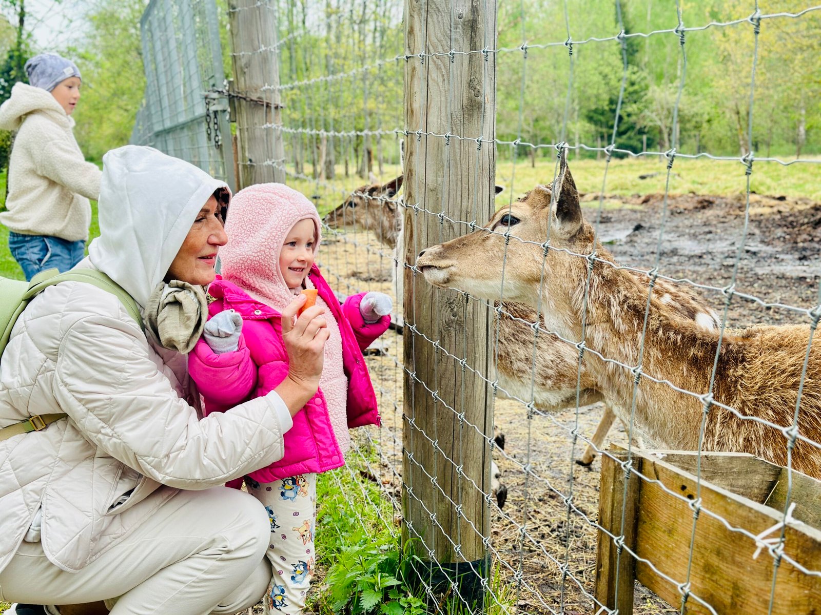 Rokiškis Manor animals
