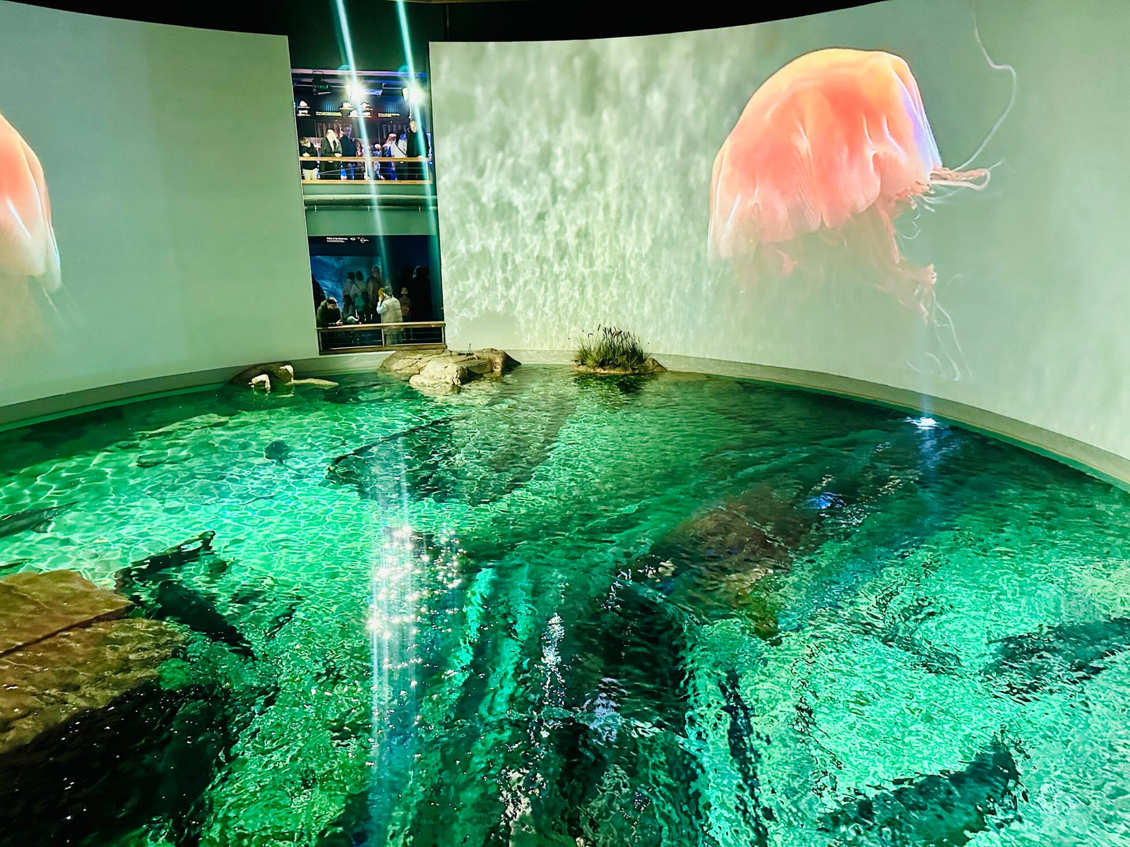 Lithuanian Sea Museum with kids