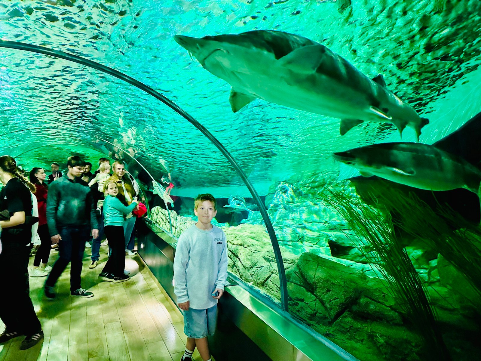 Lithuanian Sea Museum with kids