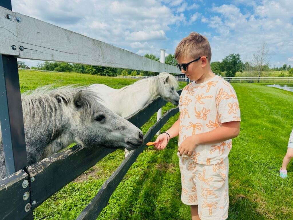 Animal farm near Vilnius