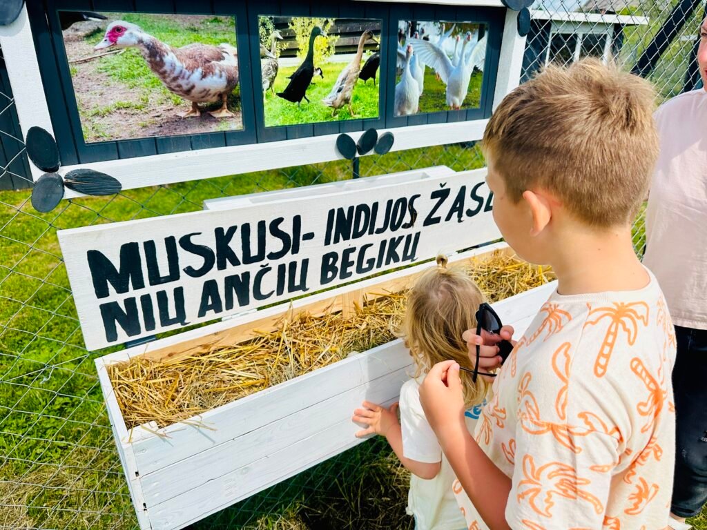Where to celebrate kids’ birthdays in nature