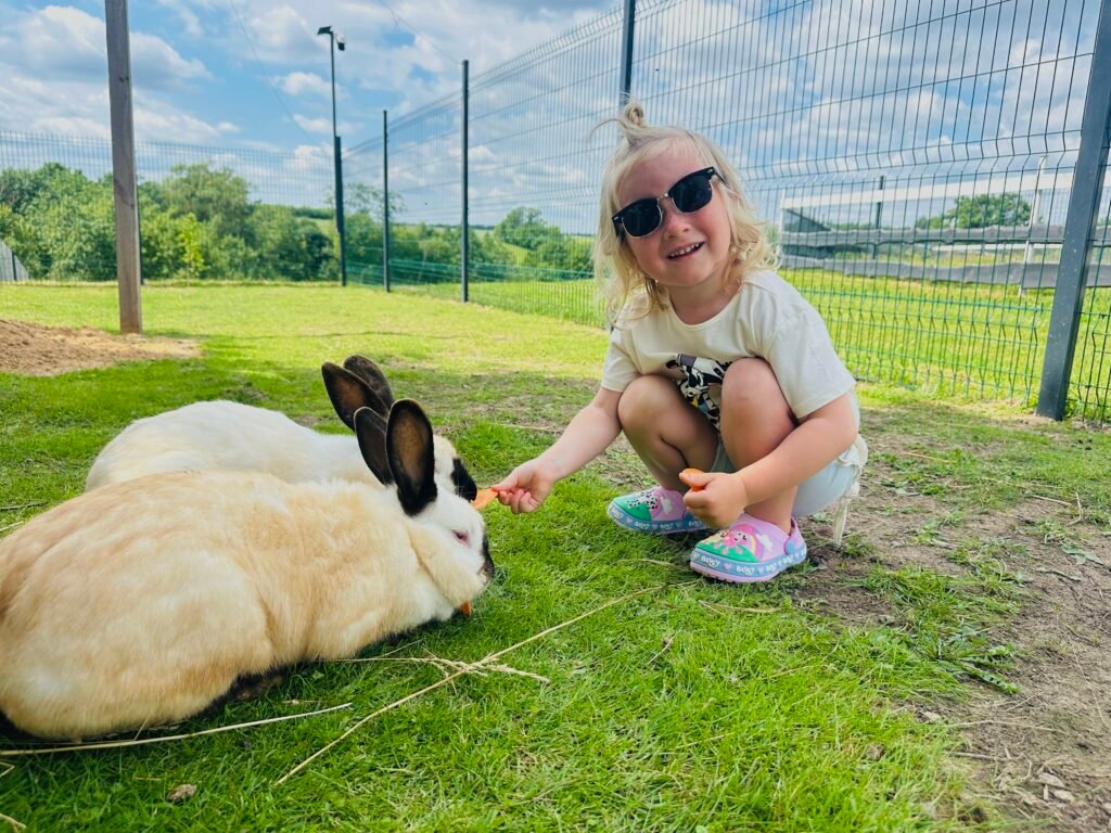 Animal farms in Lithuania for children’s celebrations