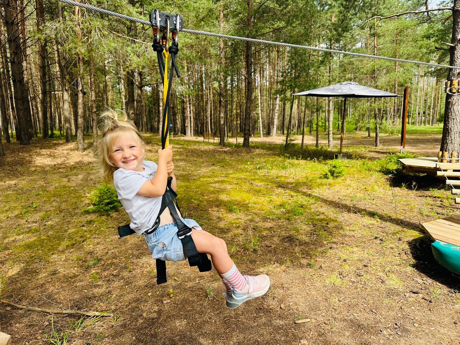 Activities in Pasvalys district