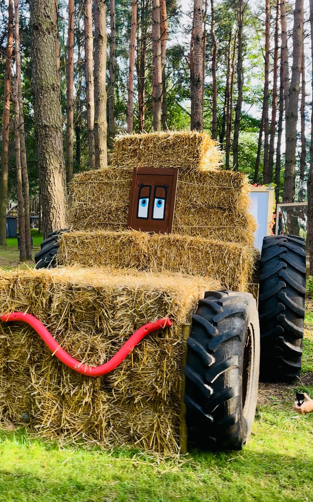 Autumn activities for children in Lithuania