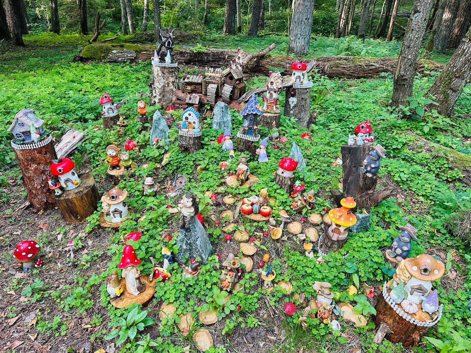 What to visit with kids