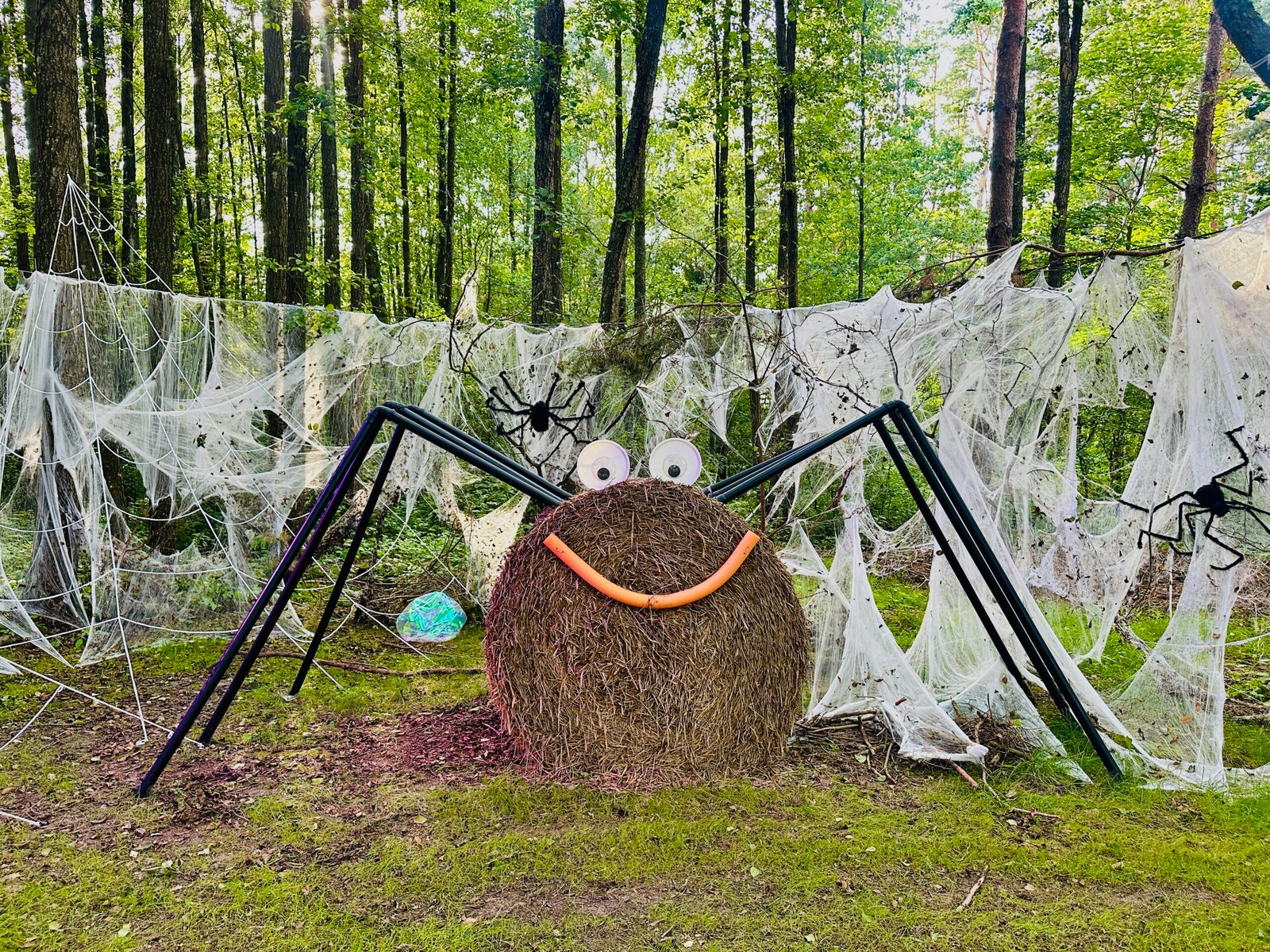 Autumn decorations and the most beautiful places in Lithuania