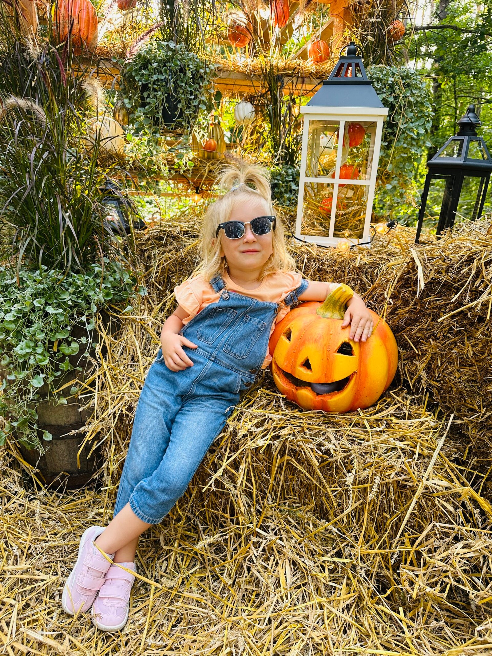 Pumpkin parks in Lithuania