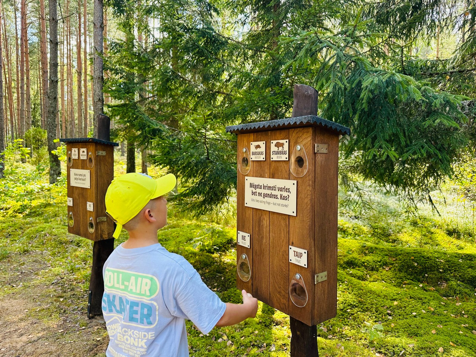 Educational space for children