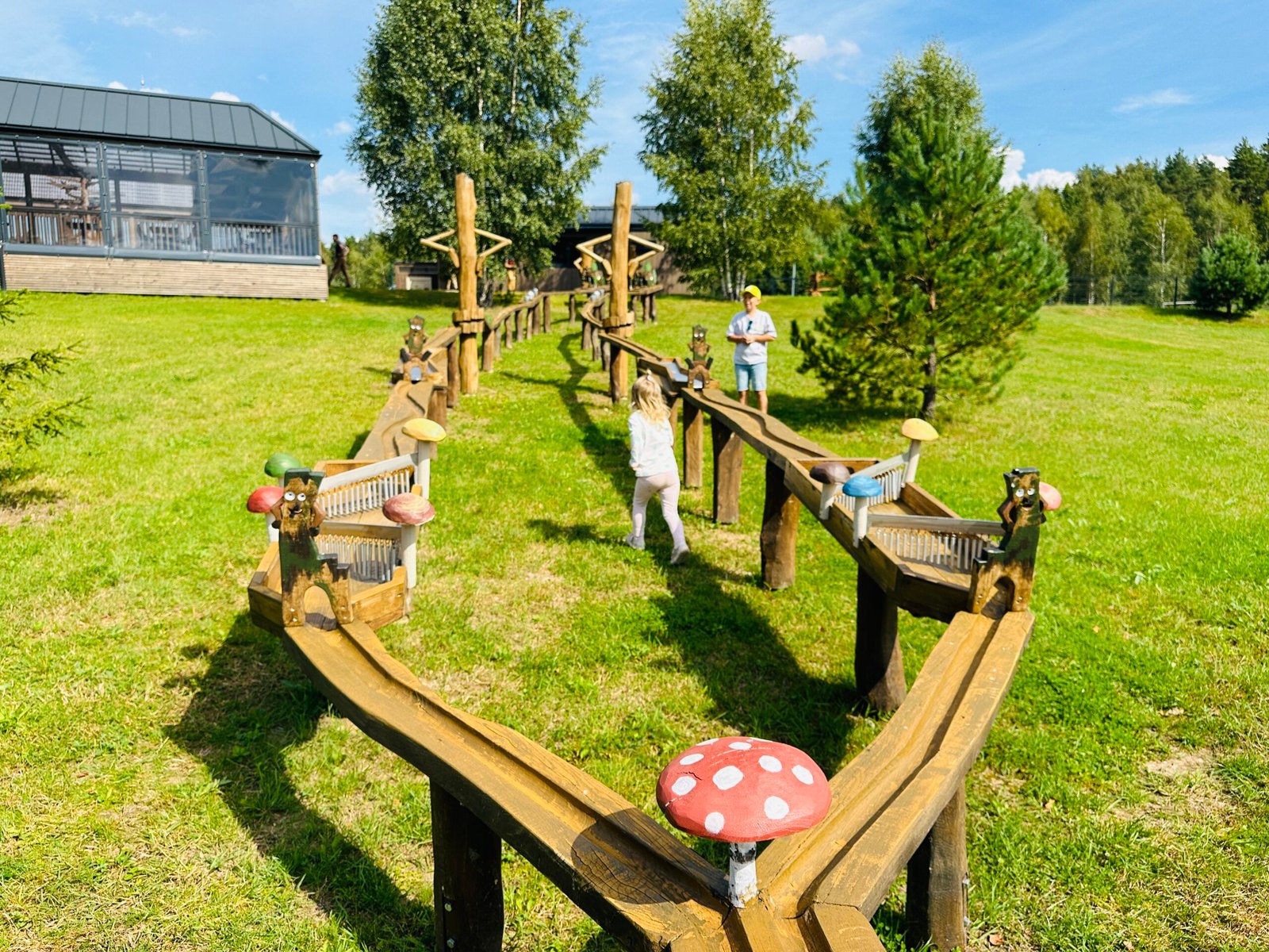 Ball racing track