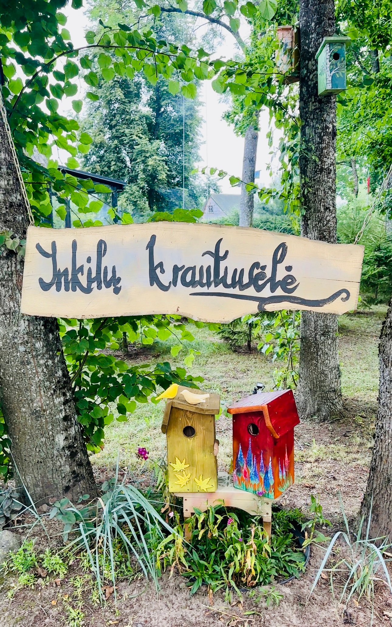 500 colorful birdhouses